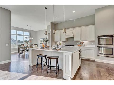 15 Catherine Ct, O'fallon, MO 63368 photo 9