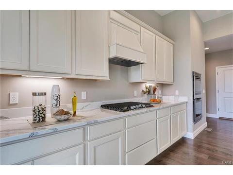 15 Catherine Ct, O'fallon, MO 63368 photo 16