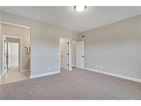 15 Catherine Ct, O'fallon, MO 63368 photo 34