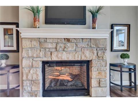 15 Catherine Ct, O'fallon, MO 63368 photo 7