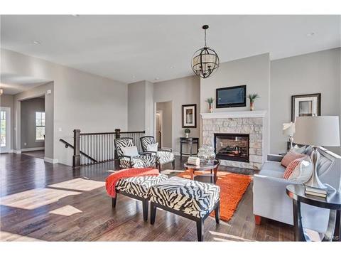 15 Catherine Ct, O'fallon, MO 63368 photo 8