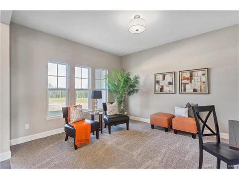 15 Catherine Ct, O'fallon, MO 63368 photo 4