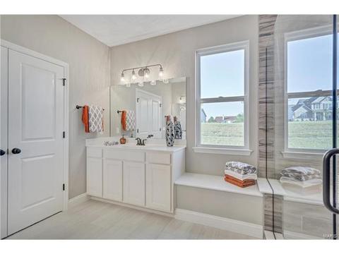 15 Catherine Ct, O'fallon, MO 63368 photo 23