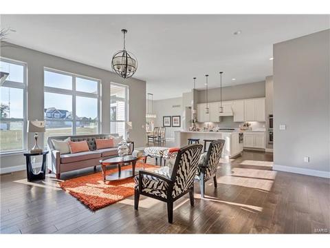 15 Catherine Ct, O'fallon, MO 63368 photo 6