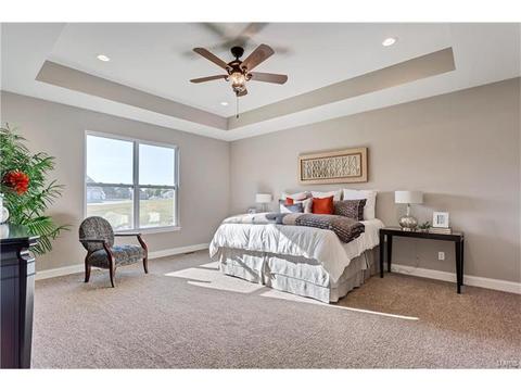 15 Catherine Ct, O'fallon, MO 63368 photo 18
