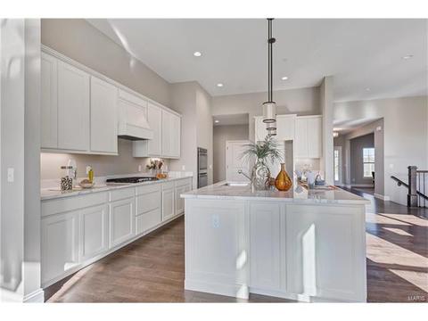 15 Catherine Ct, O'fallon, MO 63368 photo 11