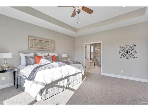 15 Catherine Ct, O'fallon, MO 63368 photo 19