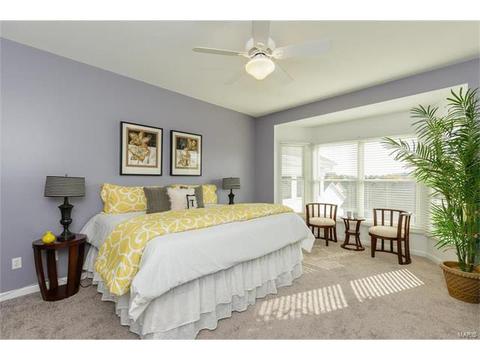 701 River Glen Dr, O'fallon, MO 63368 photo 20