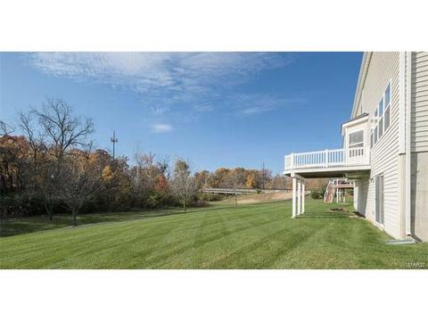 674 Whispering Willow, O'fallon, MO 63366 photo 53