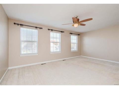 674 Whispering Willow, O'fallon, MO 63366 photo 24