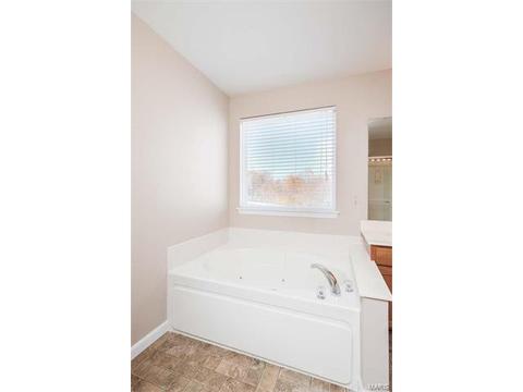 674 Whispering Willow, O'fallon, MO 63366 photo 41