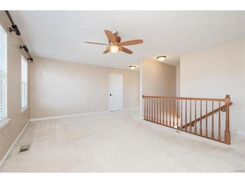 674 Whispering Willow, O'fallon, MO 63366 photo 25