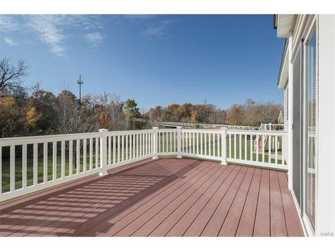 674 Whispering Willow, O'fallon, MO 63366 photo 47