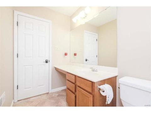 674 Whispering Willow, O'fallon, MO 63366 photo 33