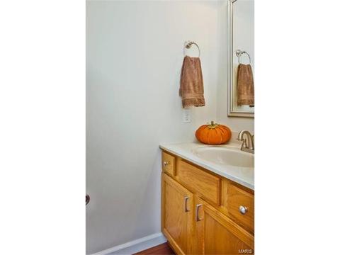 907 Saint Joseph Ave, O'fallon, MO 63366 photo 17