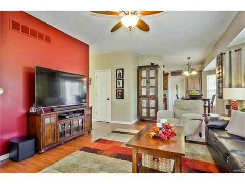 907 Saint Joseph Ave, O'fallon, MO 63366 photo 11