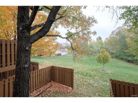 1220 Meramec Heights Dr, Ballwin, MO 63021 photo 6