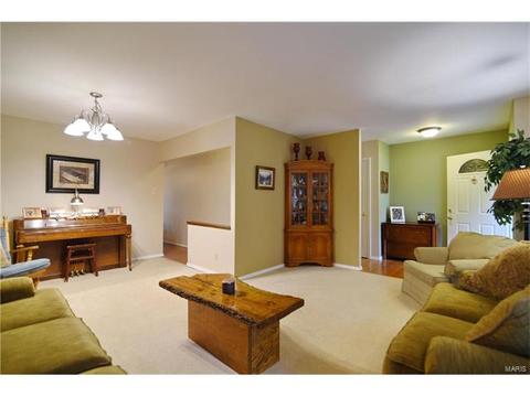932 Brookvale Ter, Manchester, MO 63021 photo 6