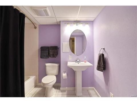 932 Brookvale Ter, Manchester, MO 63021 photo 34