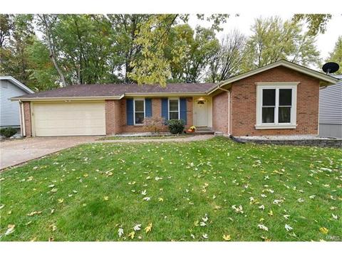 932 Brookvale Ter, Manchester, MO 63021 photo 1