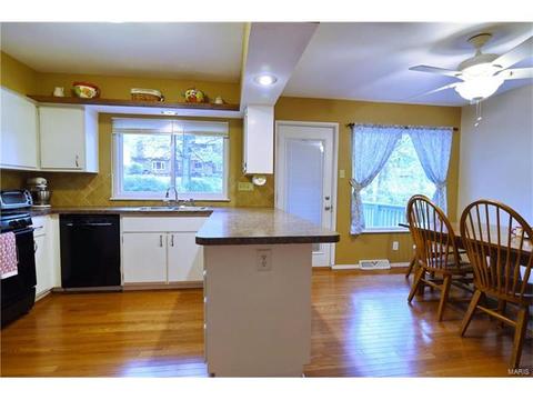 932 Brookvale Ter, Manchester, MO 63021 photo 11