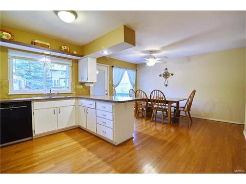 932 Brookvale Ter, Manchester, MO 63021 photo 13