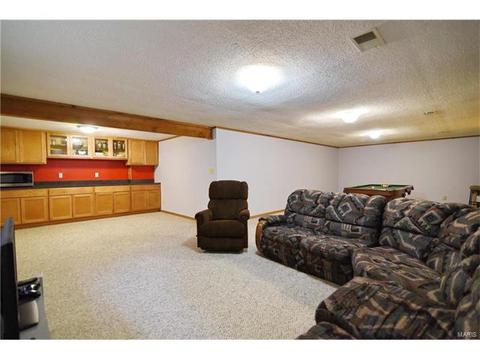 932 Brookvale Ter, Manchester, MO 63021 photo 30