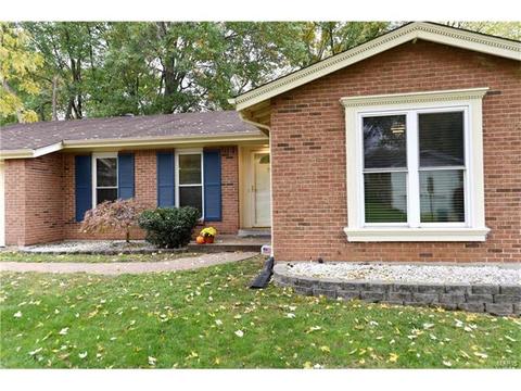 932 Brookvale Ter, Manchester, MO 63021 photo 41