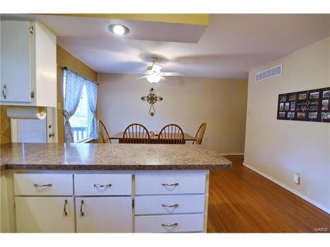 932 Brookvale Ter, Manchester, MO 63021 photo 16