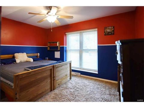 932 Brookvale Ter, Manchester, MO 63021 photo 23