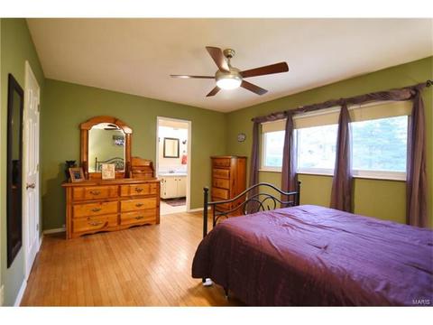932 Brookvale Ter, Manchester, MO 63021 photo 19