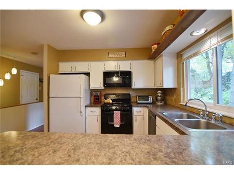 932 Brookvale Ter, Manchester, MO 63021 photo 15