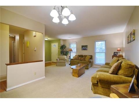 932 Brookvale Ter, Manchester, MO 63021 photo 7