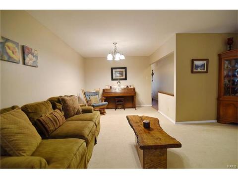 932 Brookvale Ter, Manchester, MO 63021 photo 5