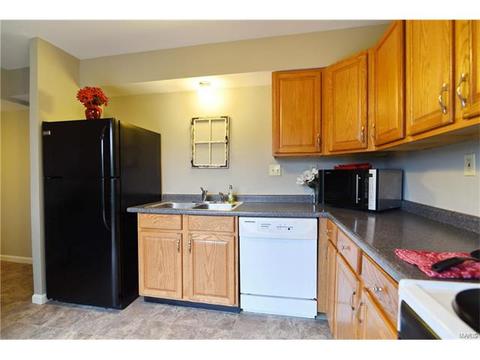 432 Country Downs Dr, Ballwin, MO 63021 photo 13