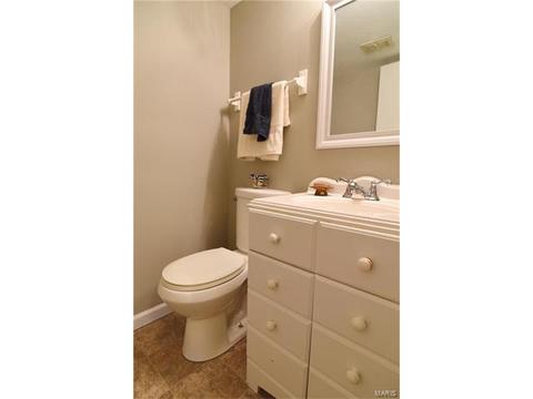 432 Country Downs Dr, Ballwin, MO 63021 photo 16