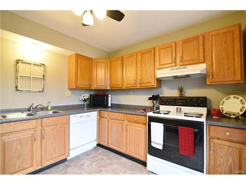 432 Country Downs Dr, Ballwin, MO 63021 photo 14