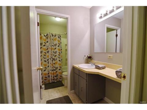 432 Country Downs Dr, Ballwin, MO 63021 photo 26