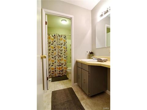 432 Country Downs Dr, Ballwin, MO 63021 photo 27