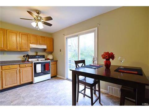 432 Country Downs Dr, Ballwin, MO 63021 photo 10