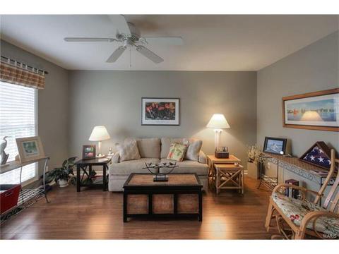 539 Villa Piazza Ct, O'fallon, MO 63366 photo 15