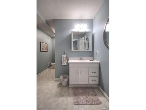 539 Villa Piazza Ct, O'fallon, MO 63366 photo 20