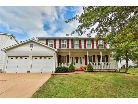 519 E Jackson, Saint Louis, MO 63119 photo 39