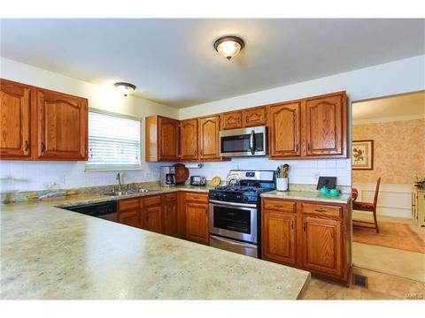 519 E Jackson, Saint Louis, MO 63119 photo 8