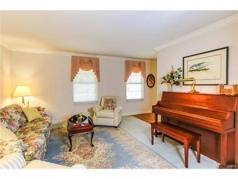 519 E Jackson, Saint Louis, MO 63119 photo 5