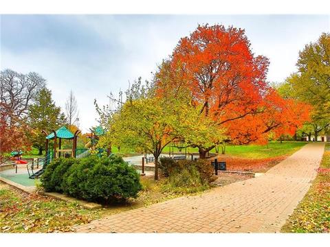 519 E Jackson, Saint Louis, MO 63119 photo 37