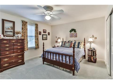 519 E Jackson, Saint Louis, MO 63119 photo 22