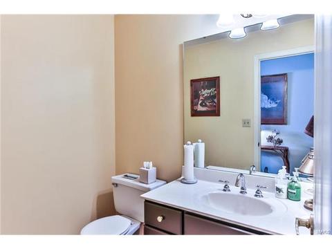 519 E Jackson, Saint Louis, MO 63119 photo 15
