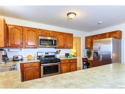 519 E Jackson, Saint Louis, MO 63119 photo 9