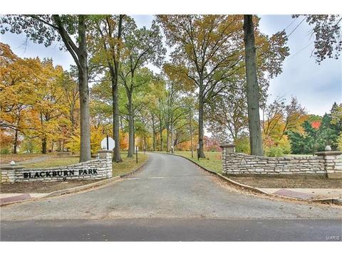 519 E Jackson, Saint Louis, MO 63119 photo 29